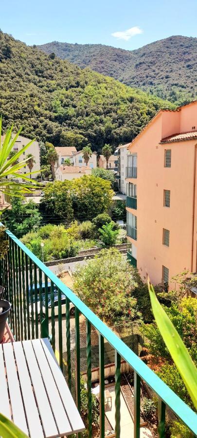 T2 Tout Confort Amélie-les-Bains-Palalda Exteriér fotografie
