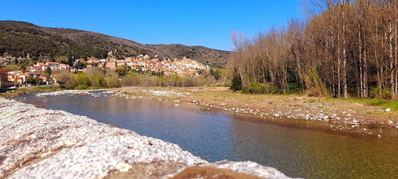 T2 Tout Confort Amélie-les-Bains-Palalda Exteriér fotografie