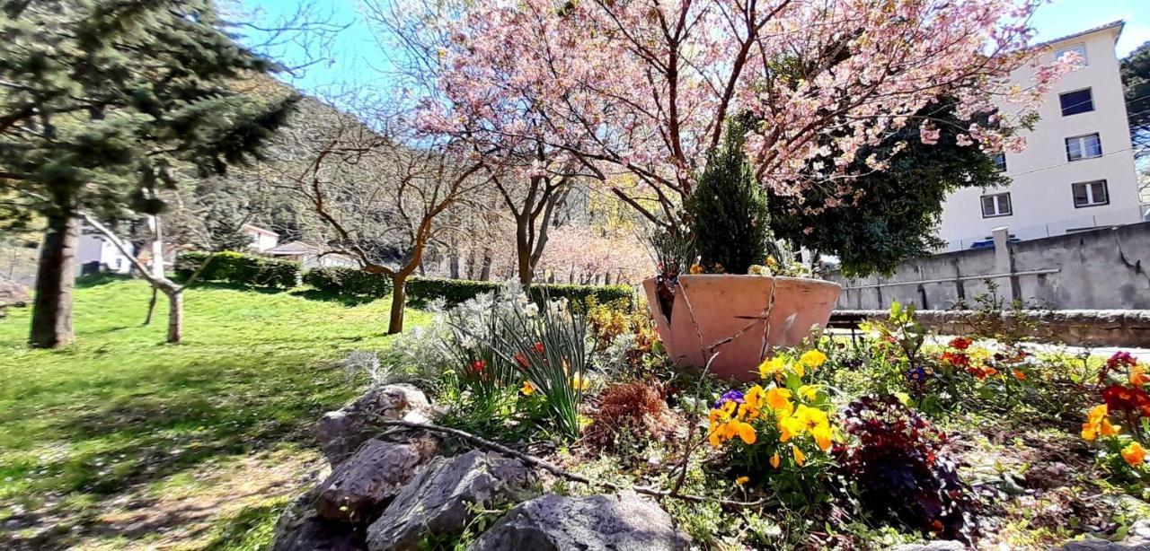 T2 Tout Confort Amélie-les-Bains-Palalda Exteriér fotografie