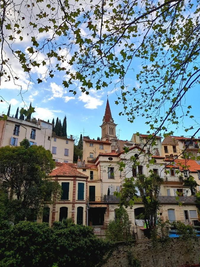 T2 Tout Confort Amélie-les-Bains-Palalda Exteriér fotografie