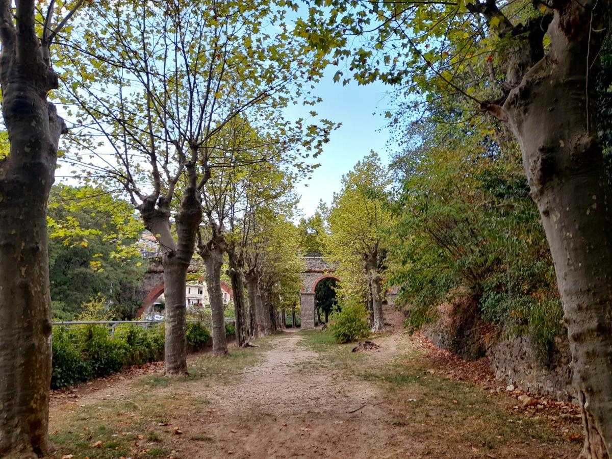 T2 Tout Confort Amélie-les-Bains-Palalda Exteriér fotografie