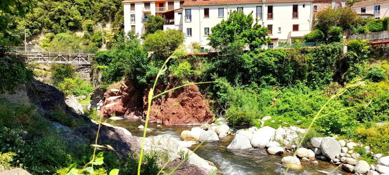T2 Tout Confort Amélie-les-Bains-Palalda Exteriér fotografie